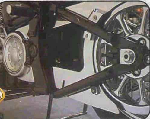 Road Star Belt Guard